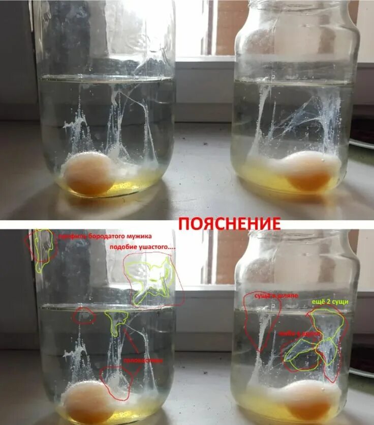 Расшифровка выкатанного яйца в воде фото Алексей Борисович. Запись со стены. в 2023 г Яйца, Сущее, Сероводород