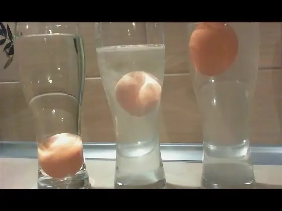 Расшифровка яйца в воде фото Eggs & Salt Water - float an egg in the middle of salt water - HD Floating eggs,