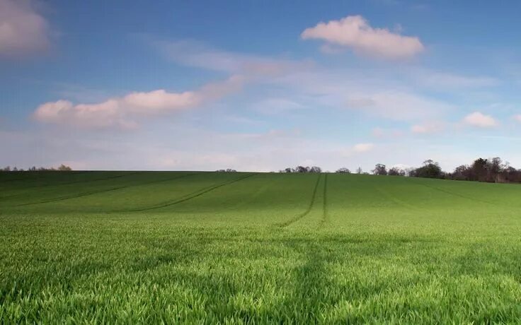 Расширить поля фото Extended green to horizon Hd landscape, Desktop background images, Nature deskto