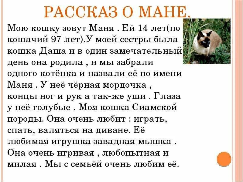 Рассказ о своем домашнем питомце Мой питомец. Сиамская кошка. Софья Михайлова. - скачать презентацию