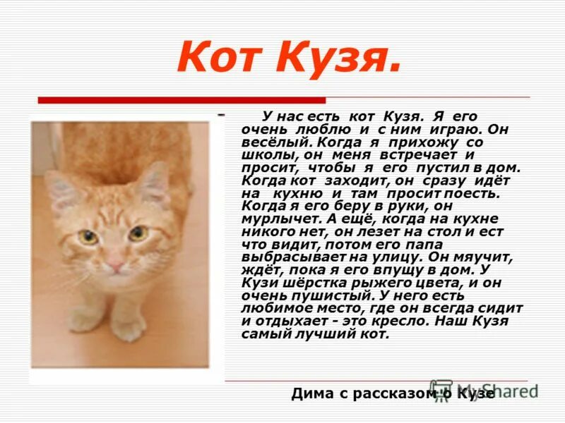 Рассказ о своем домашнем животном Я хочу рассказать о своем коте 2: найдено 74 изображений