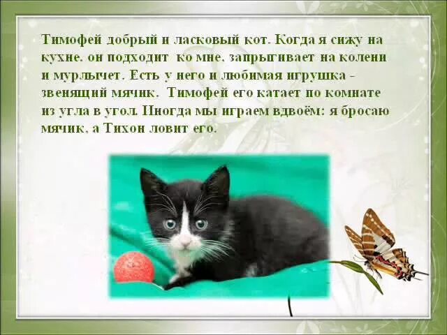 Расскажите о своем домашнем питомце Презентация о моем питомце