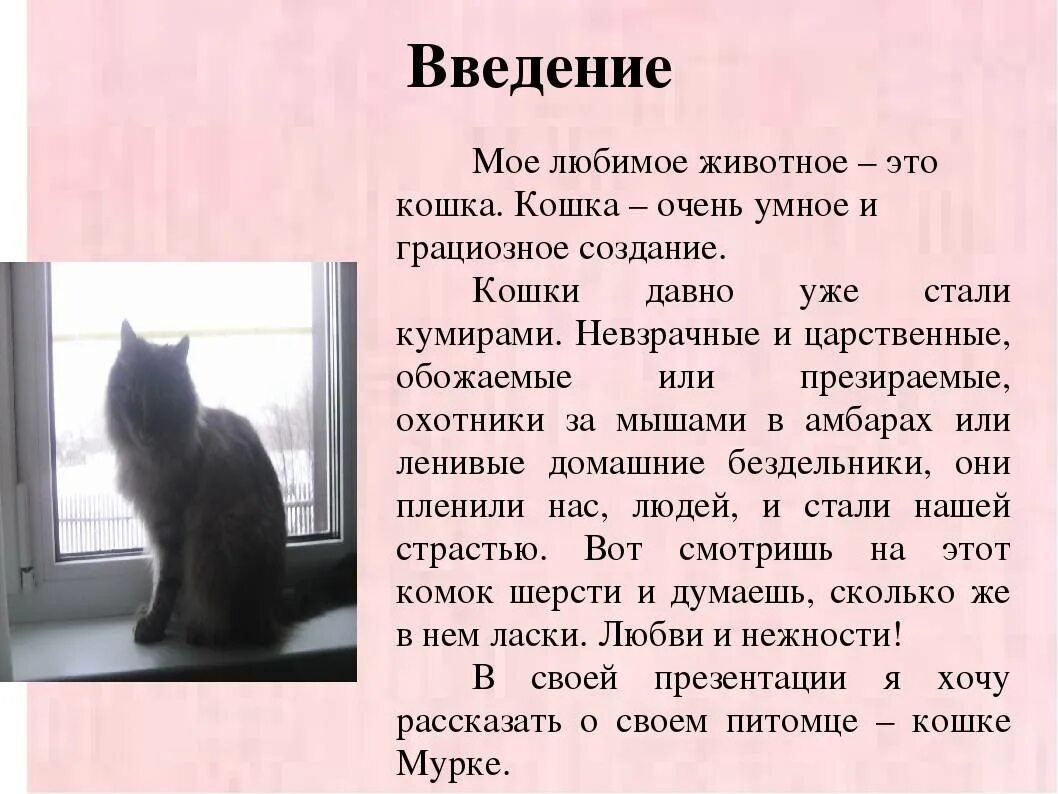 Расскажите о своем домашнем питомце Я хочу рассказать о своем коте 2: найдено 74 изображений