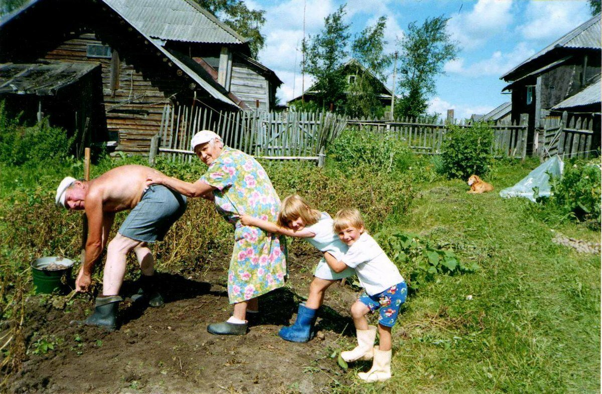 Рассказы в деревне фото Если слышите фразу типа: Да он из деревни, чего с ним общаться? Знайте, у дереве