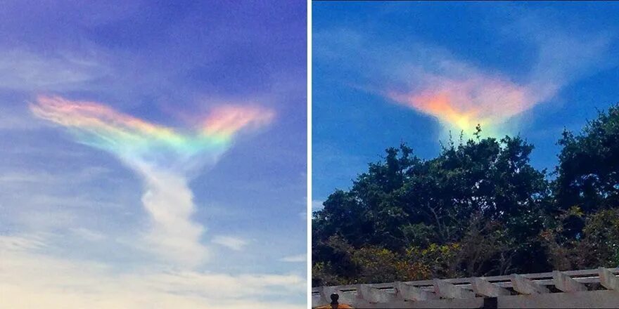 Рассмотрите фото природных явлений и назовите их Rare "Fire Rainbow" Appears In Sky Over South Carolina Fire rainbow, Rainbow sky