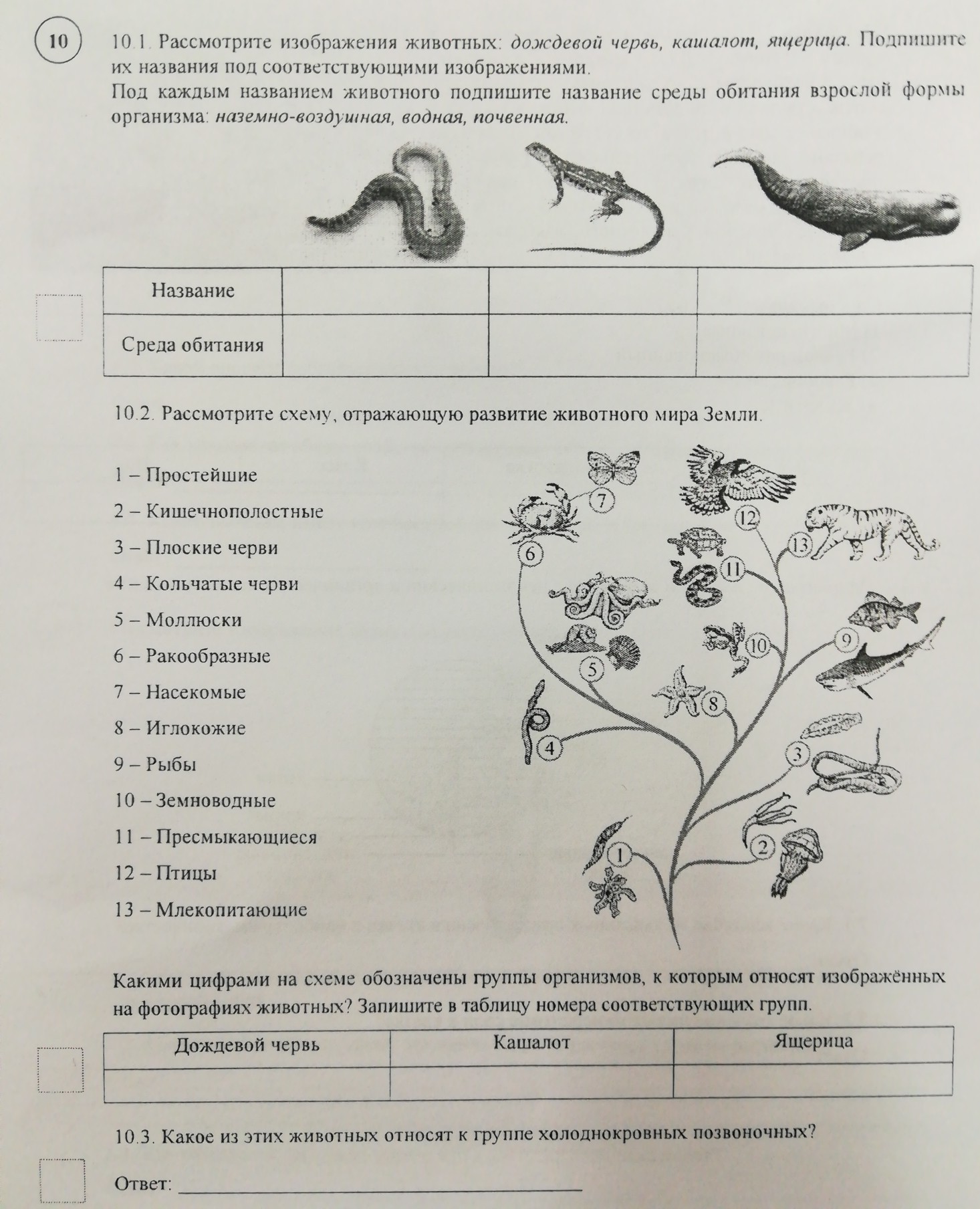 Рассмотрите животных на картинках выявите какие Картинки РАССМОТРИТЕ ЖИВОТНЫХ