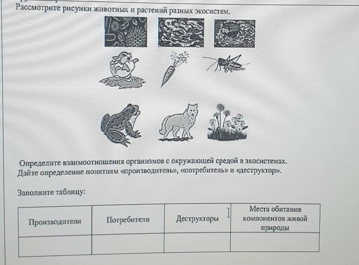 Рассмотрите животных на картинках выявите какие приспособления Рассмотрите рисунок и определите: найдено 88 изображений