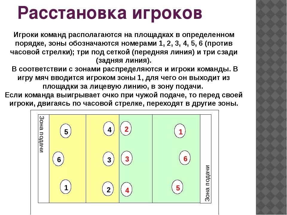 Расстановка 5 1 в волейболе схема позиции Роли в волейбольной команде