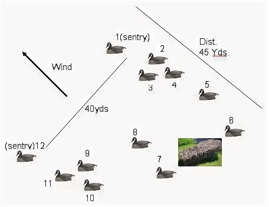 Расстановка гусиных чучел на поле осенью схема Гусиные и Утиные чучела,профиля -все о них и про них.Варианты расстановки. : Сна