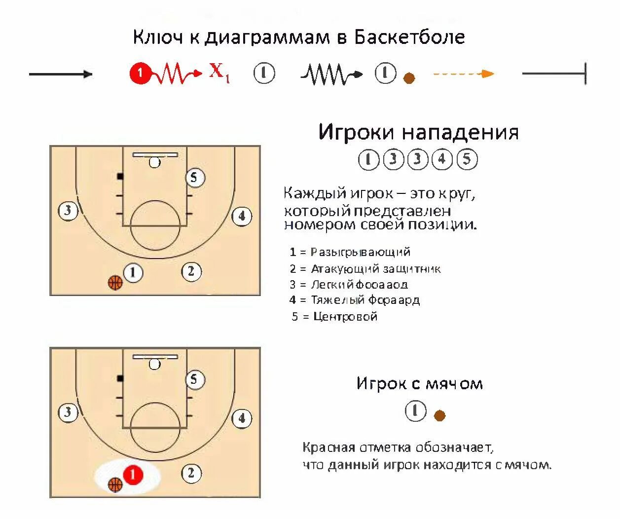 Расстановка игроков в баскетболе схема Баскетбол схема игроков