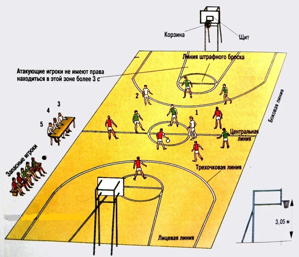 Расстановка игроков в баскетболе схема Укажите количество игроков баскетбольной команды на площадке - найдено 87 картин