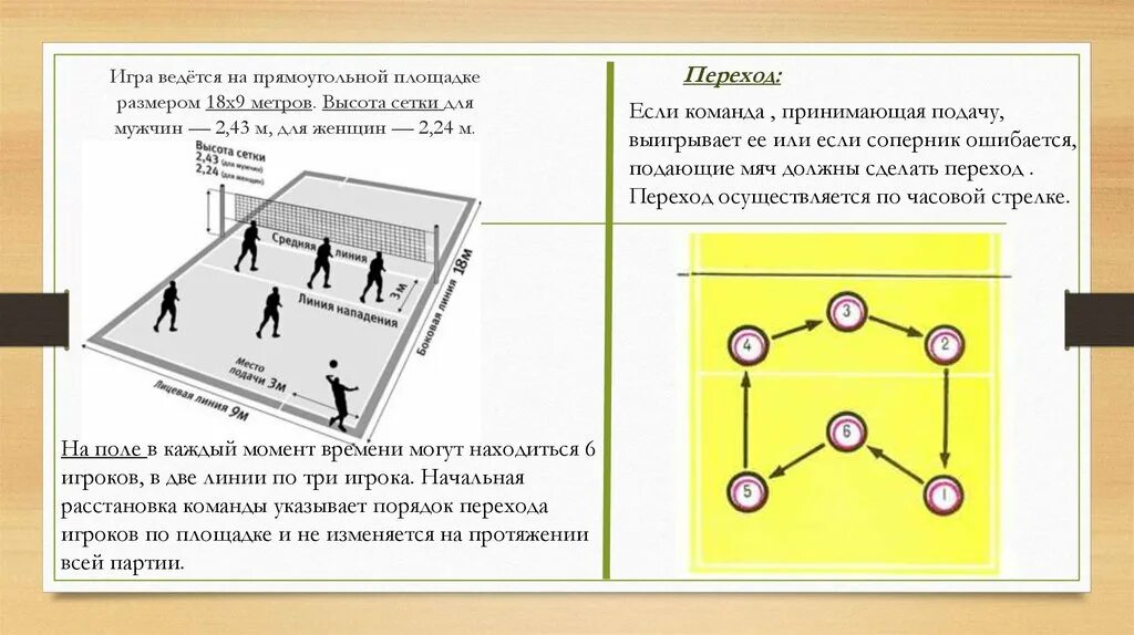 Расстановка игроков в пионерболе схема для детей Самая длинная линия на площадке в пионерболе - найдено 88 картинок