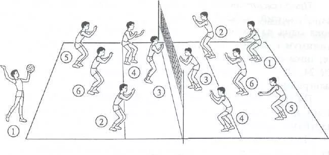 Расстановка игроков в пионерболе схема для детей Урок 28. тактические действия волейболистов
