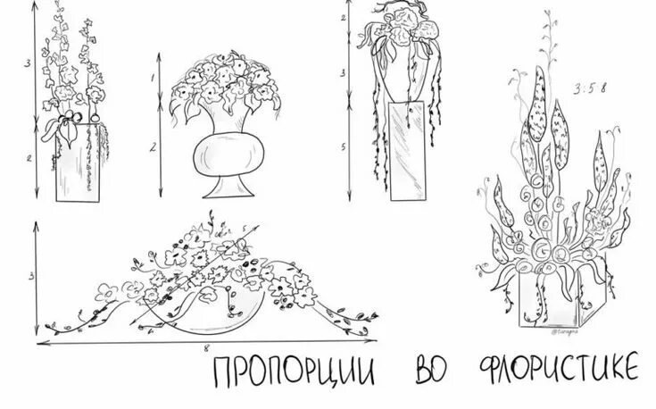 Расстановка цветов в букете схемы Золотое сечение и правила пропорций для флористов Флористика, Золотое сечение, Ф