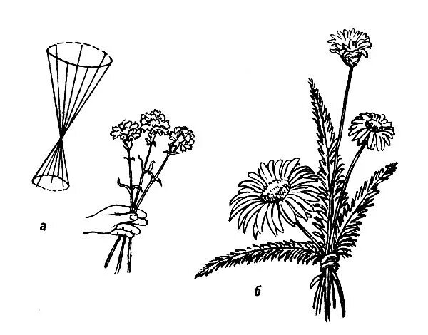 Расстановка цветов в букете схемы Букеты и композиции из срезанных цветов 1988 Устенко И.С. - Цветы в букетах и ко