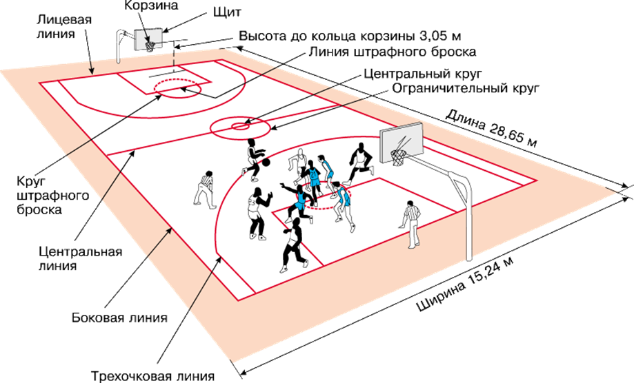 Расстановка в баскетболе схема Реферат "Баскетбол" - Физкультура - Мероприятия - ВУЗ