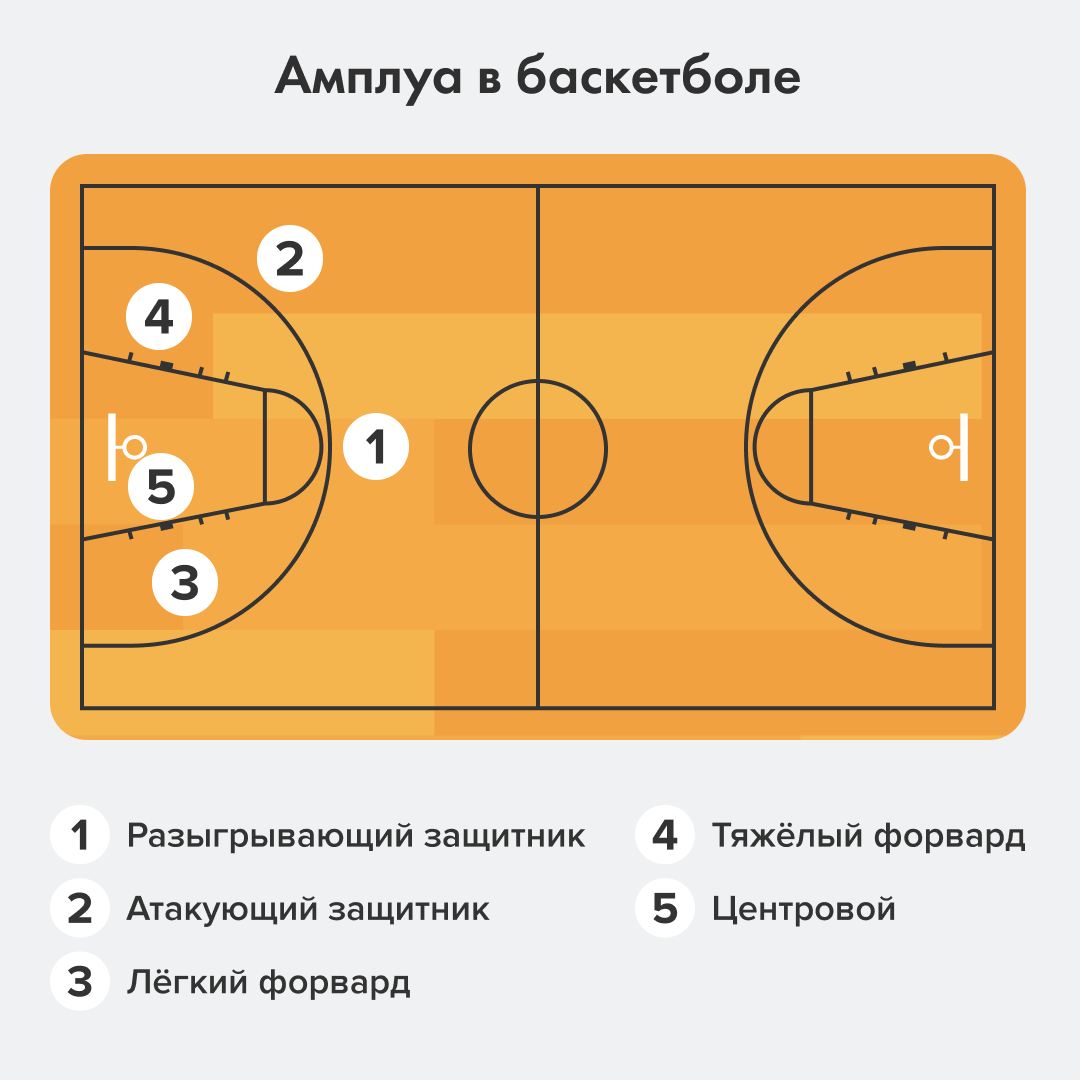 Расстановка в баскетболе схема Центровой в баскетболе - Амплуа в баскетболе - позиции игроков на площадке