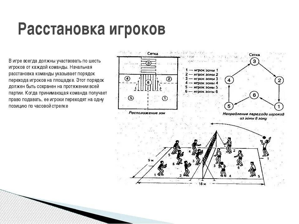 Расстановка в волейболе по номерам схема Какой переход в волейболе: найдено 89 изображений