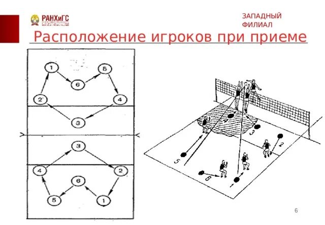 Расстановка в волейболе по номерам схема Презентация по физкультуре "Волейбол"