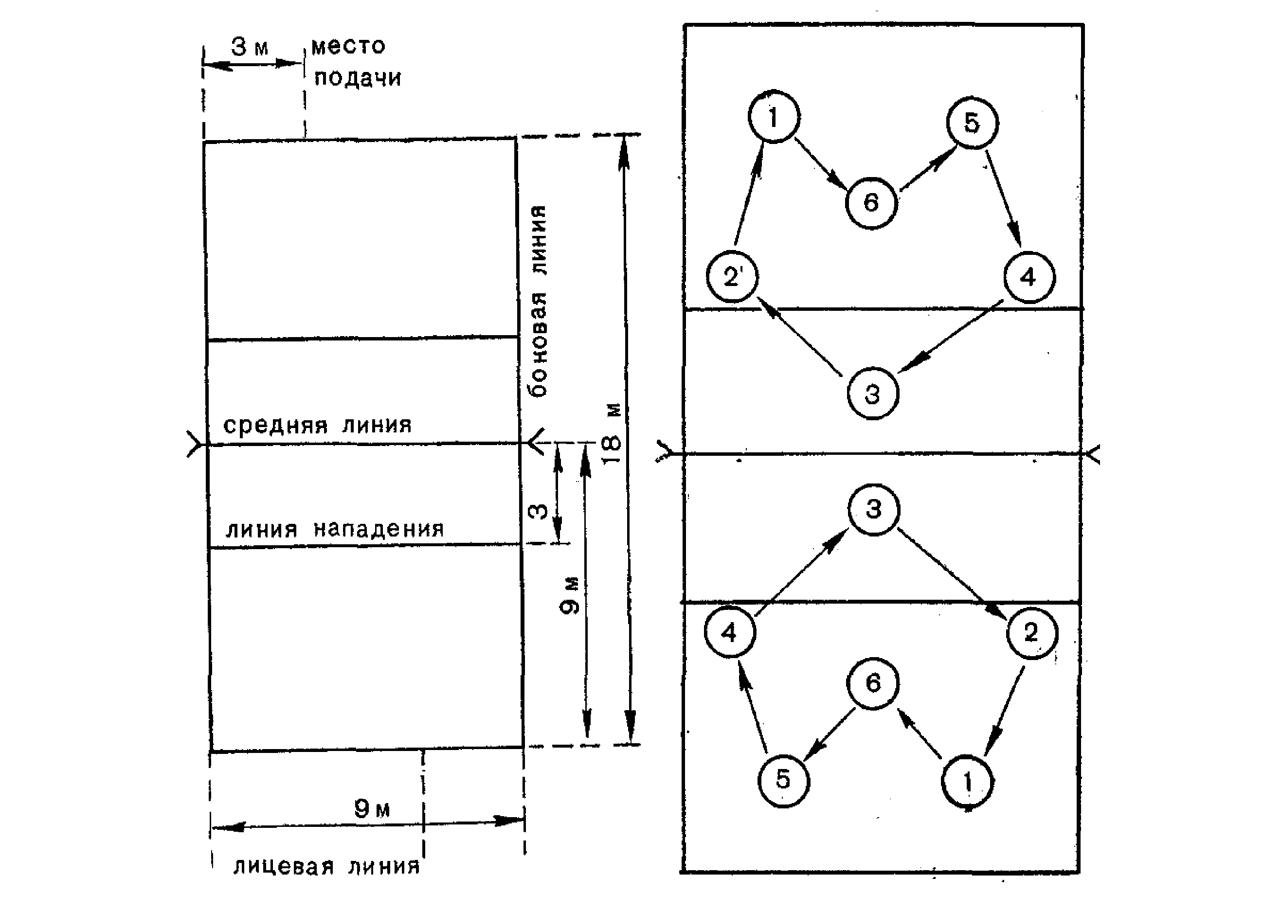Расстановка в волейболе по номерам схема Позиции на волейбольной площадке