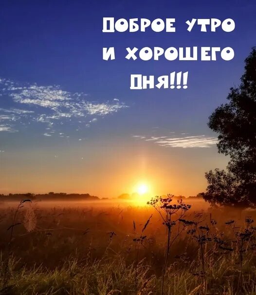 Рассвет картинки с добрым утром с пожеланиями Good morning and have a successful day, subscribers of our group Overheard in La