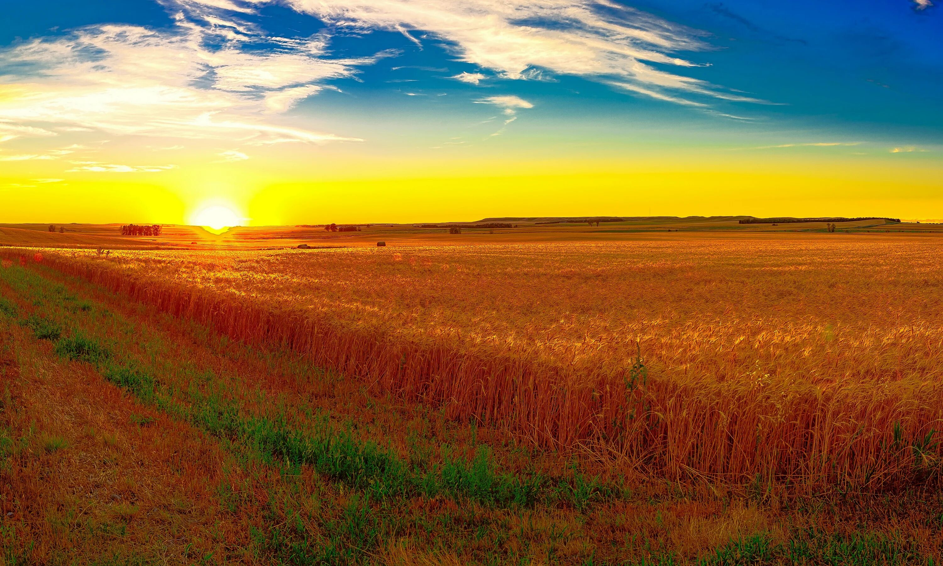 Рассвет поле фото Wallpaper : 5000x3000 px, and, fields, nature, scenery, sky, sunrises, sunsets 5