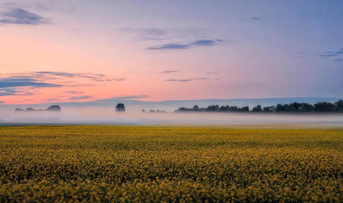 Рассвет поле фото 509. Проснусь, когда заря ещё едва заметна (Татьяна Радова) / Стихи.ру