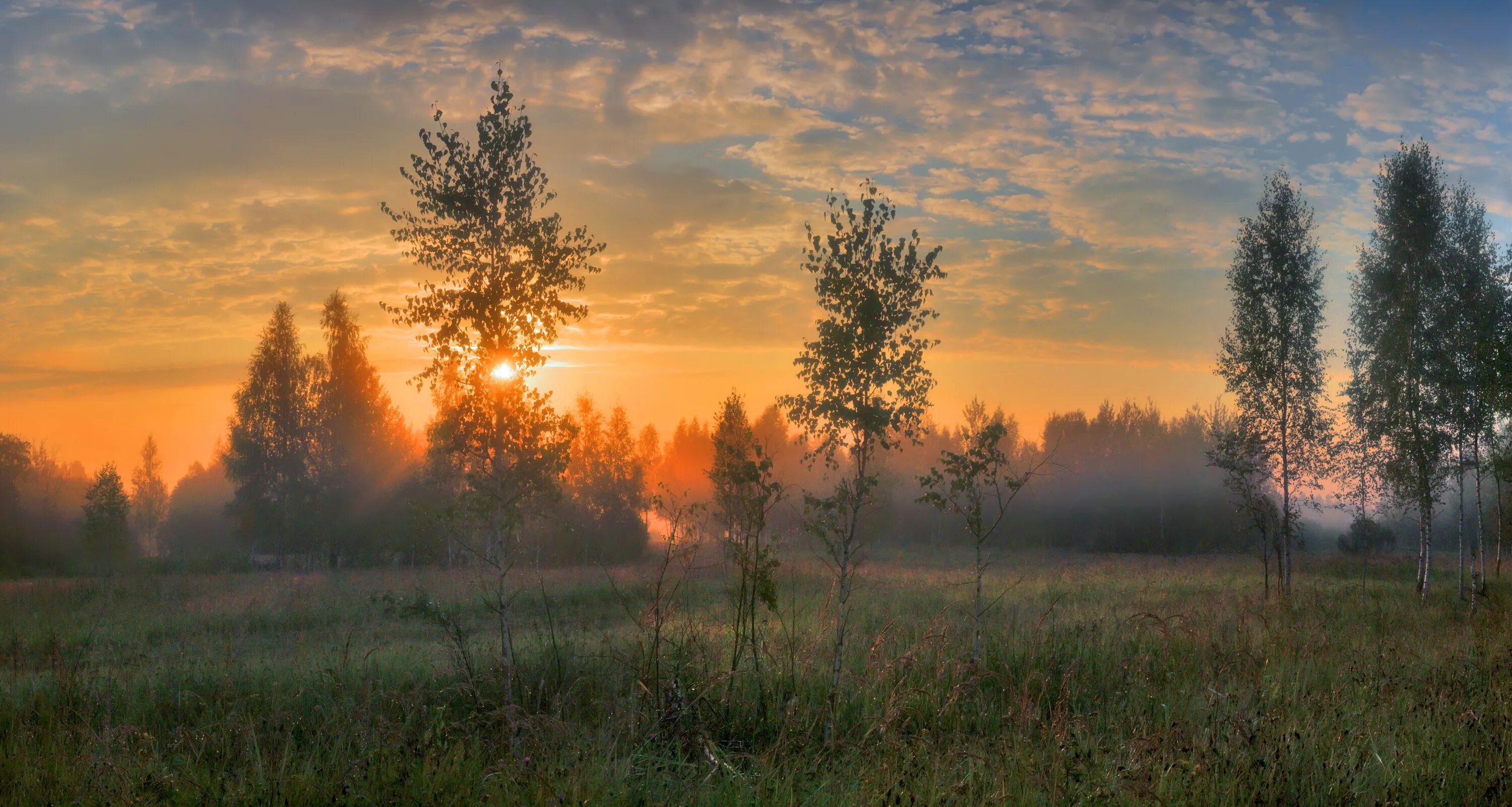 Рассвет в лесу фото Рассвет на опушке леса.. Фотограф Свистков Александр