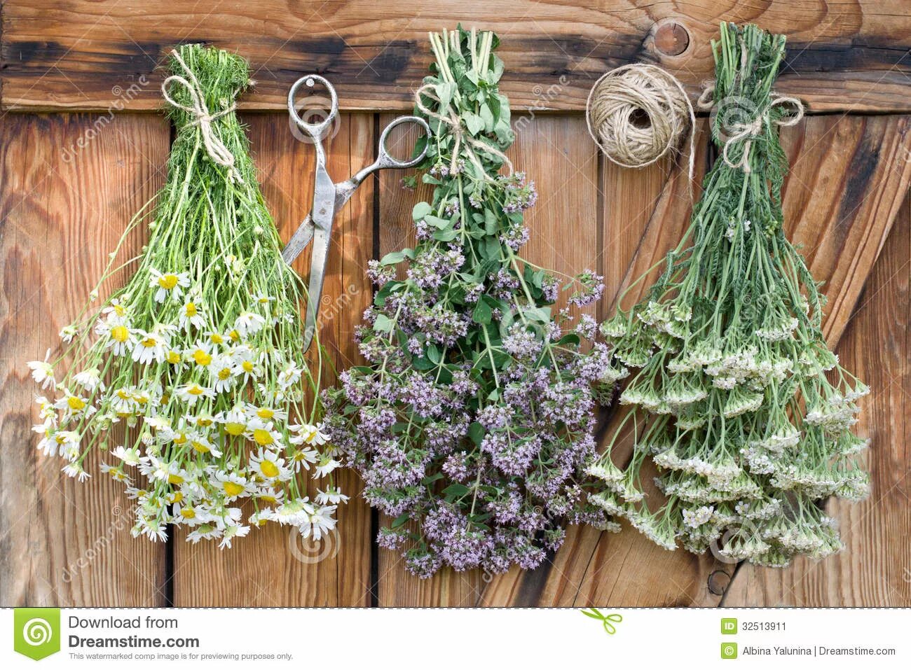 Растение деревень фото как используется как лекарство Freshly harvested herbs stock image. Image of plant, indian - 32513911