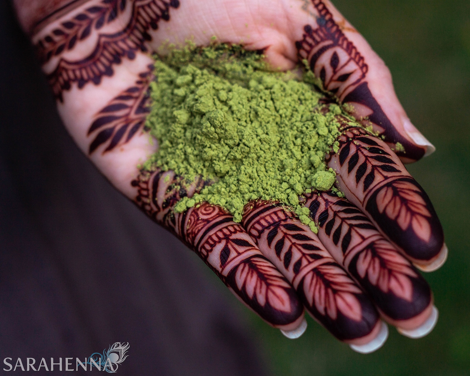 Растение хна как выглядит фото Organic Henna Powder Etsy