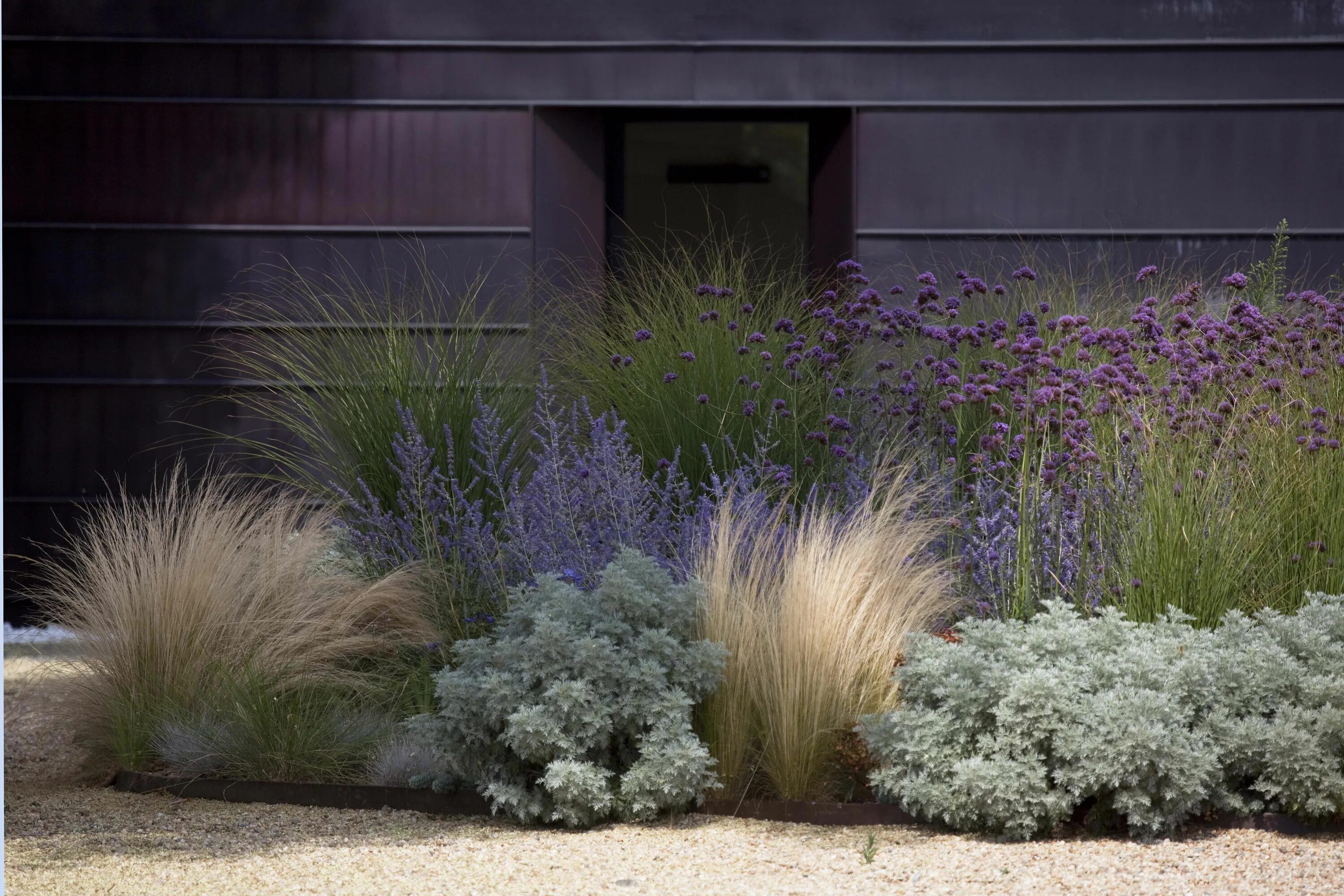 Растение используемое в ландшафтном дизайне Relais nell’astigiano, love it Drought tolerant garden, Garden design, Grasses g