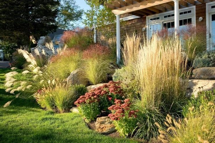 Растение используемое в ландшафтном дизайне Related image Sloped garden, Farmhouse landscaping, Garden design