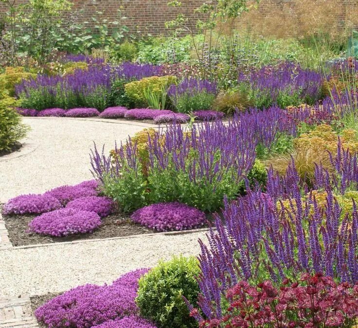 Растение используемое в ландшафтном дизайне #awbassociates #northyorkshire #gardendesign #walledgarden #colour #tuin #jardin