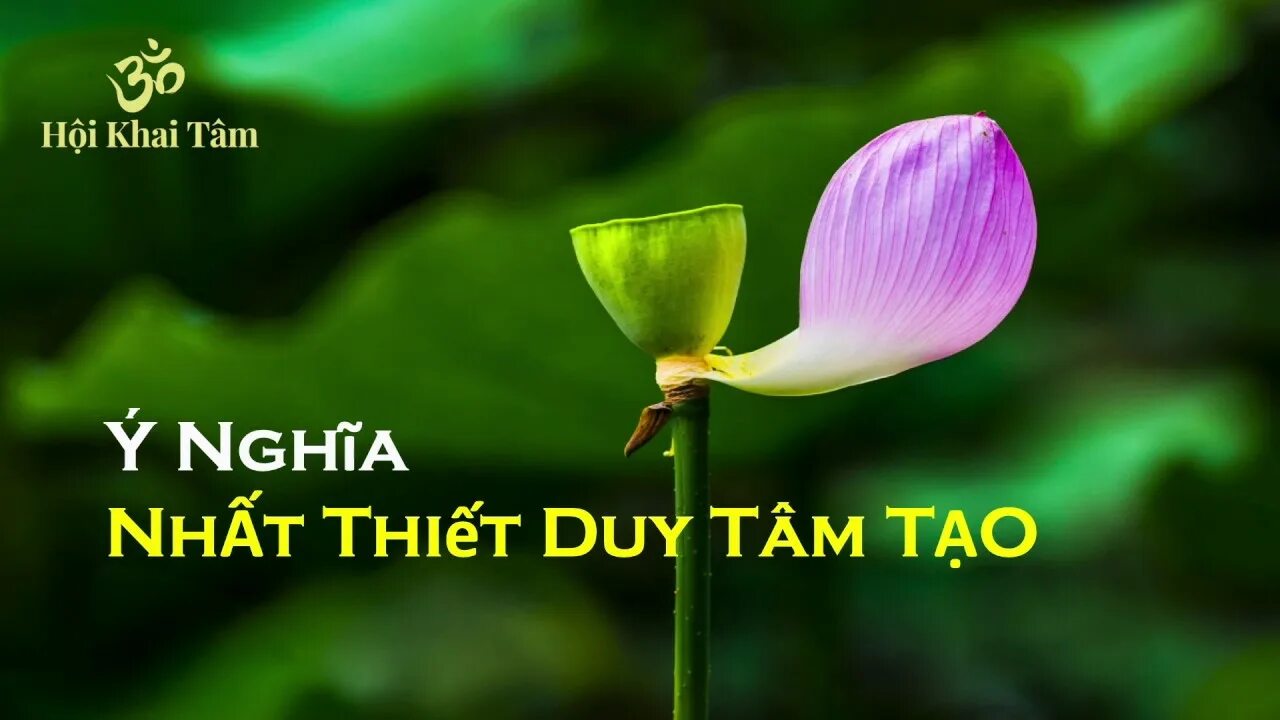 Растение лепесток как выглядит Dr SEA Ý Nghĩa Nhất Thiết Duy Tâm Tạo - YouTube