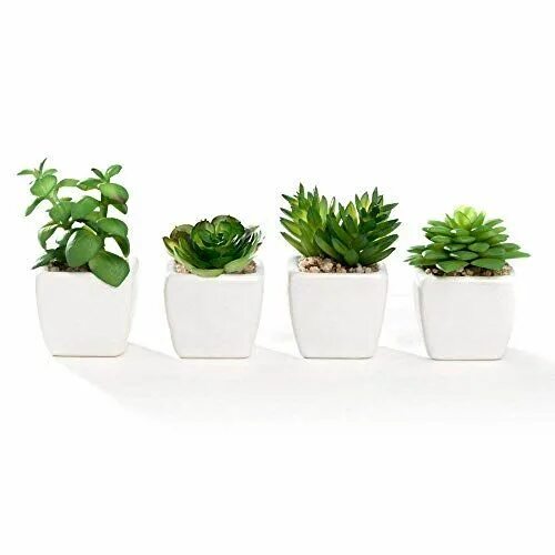 Растение в горшке фото Nattol Mini Artificial Succulent Plants Potted in Square Modern Ceramic Pots, Fa