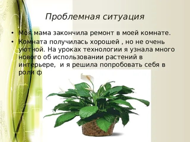 Растение в интерьере жилого дома проблемная ситуация Творческий проект: "Растения в интерьере жилого дома".