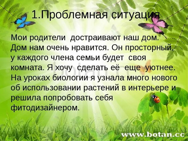 Растение в интерьере жилого дома проблемная ситуация Проект растения в интерьере жилого дома проблемная ситуация - Дом Мебели.ру