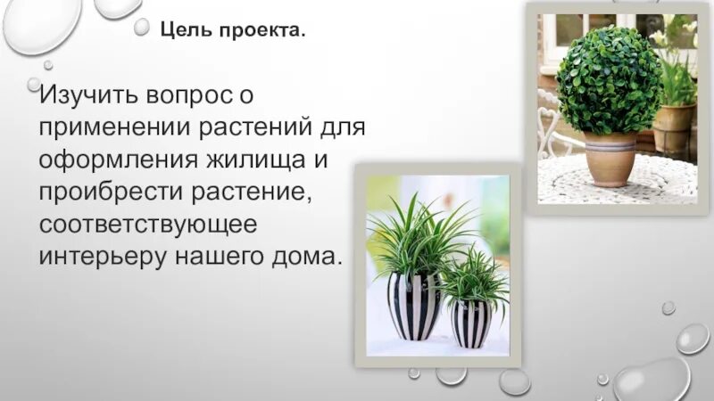 Растение в интерьере жилого дома творческий проект Творческий проект растения в интерьере жилого - Дом Мебели.ру