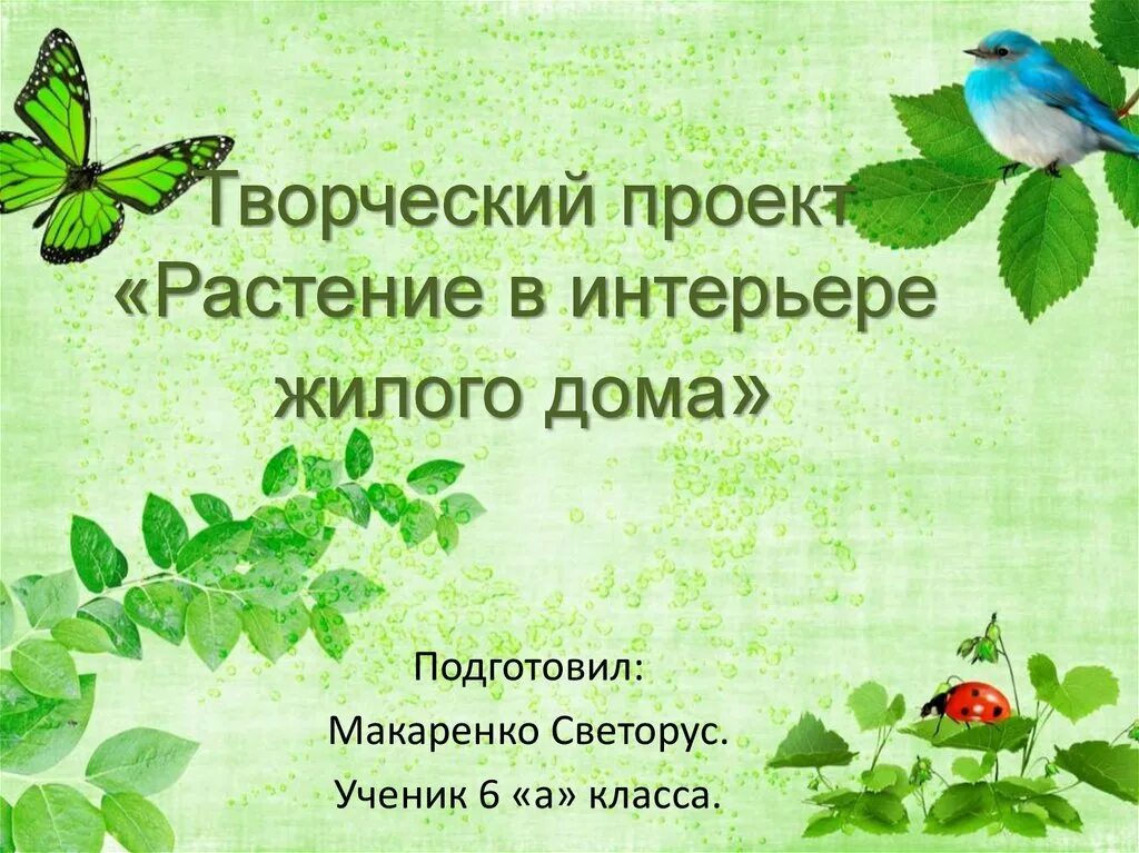 Растение в интерьере жилого дома творческий проект Комнатные растения в интерьере жилого дома - Гранд Проект Декор.ру