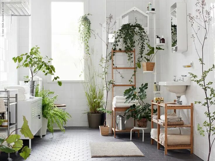 Растения для декора дома IKEA - Möbler, inredning och inspiration House design, Interior, Decor