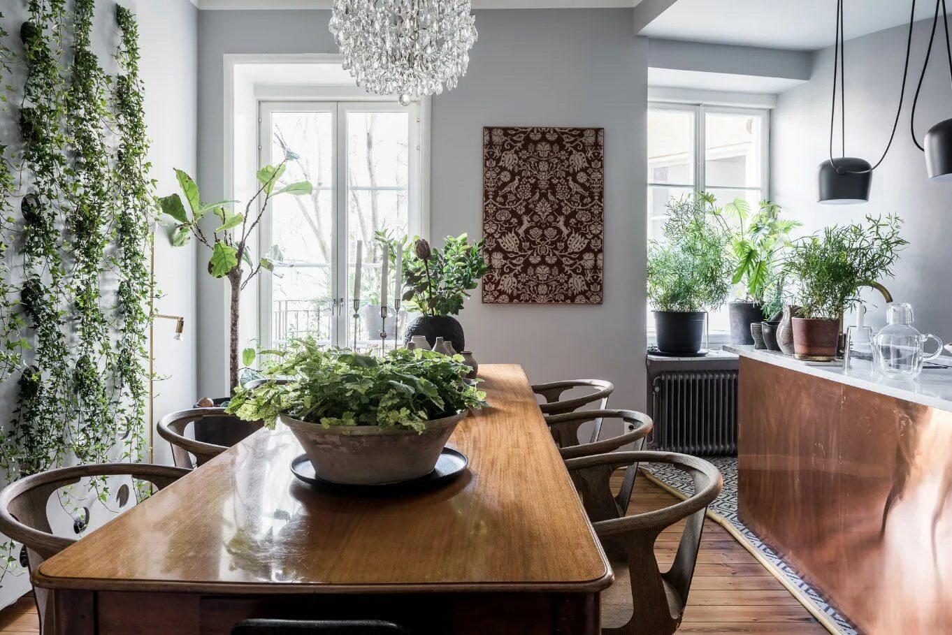 Растения для интерьера москва Piante in cucina: quali specie scegliere? Plante, Décoration maison, Planchers e