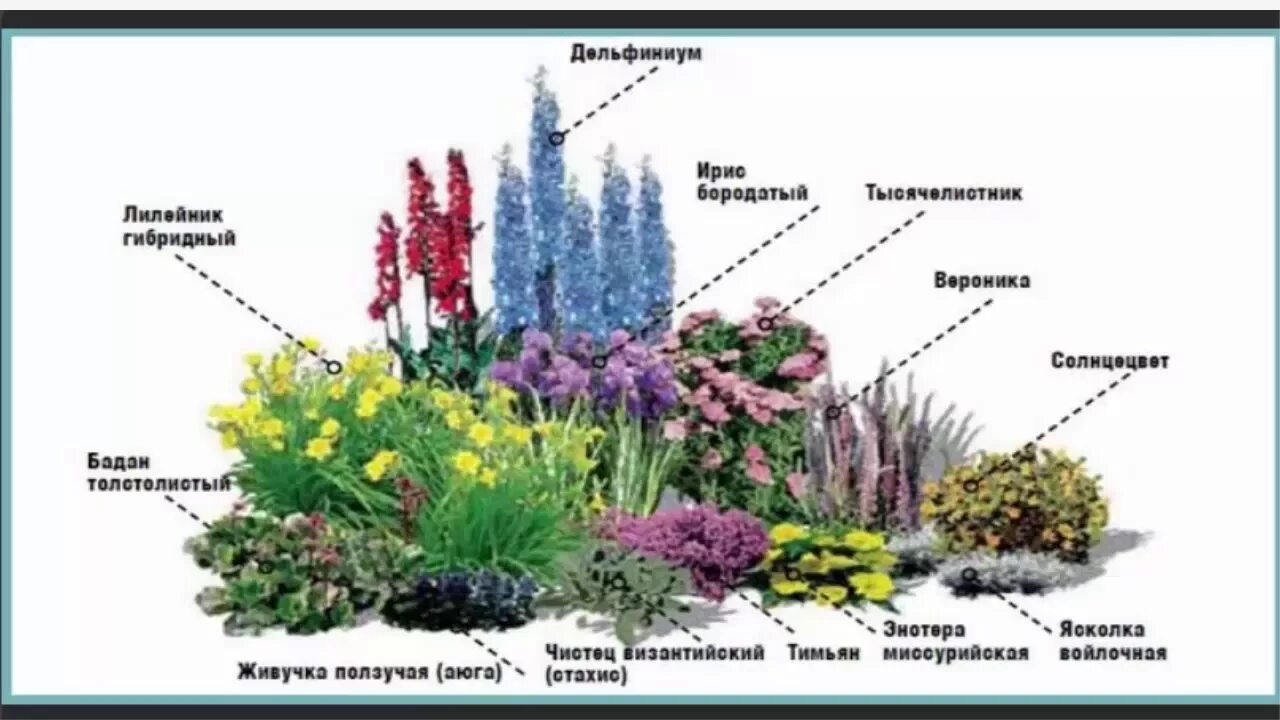 Ландшафтный набор № 1 Flower garden design, Flower garden plans, Garden flower b