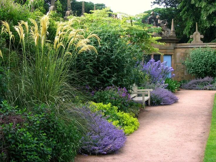 Растения для ландшафтного дизайна купить lavender Tuin, Tuin ideeën, Prachtige tuinen