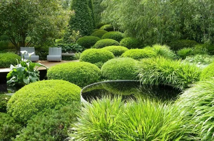 Растения для ландшафтного дизайна купить Chelsea Flower Show 2011, Irish Sky Garden - LOOP Chair RHS Gold Medal Backyard 