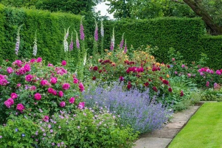 Растения для сада фото 10 базовых элементов английского сада Rose garden design, Garden borders, Dream 