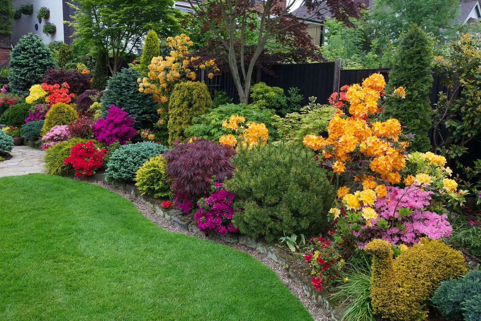 Растения для сада фото и названия Side border late spring azalea flowers Beautiful gardens, Flower garden borders,