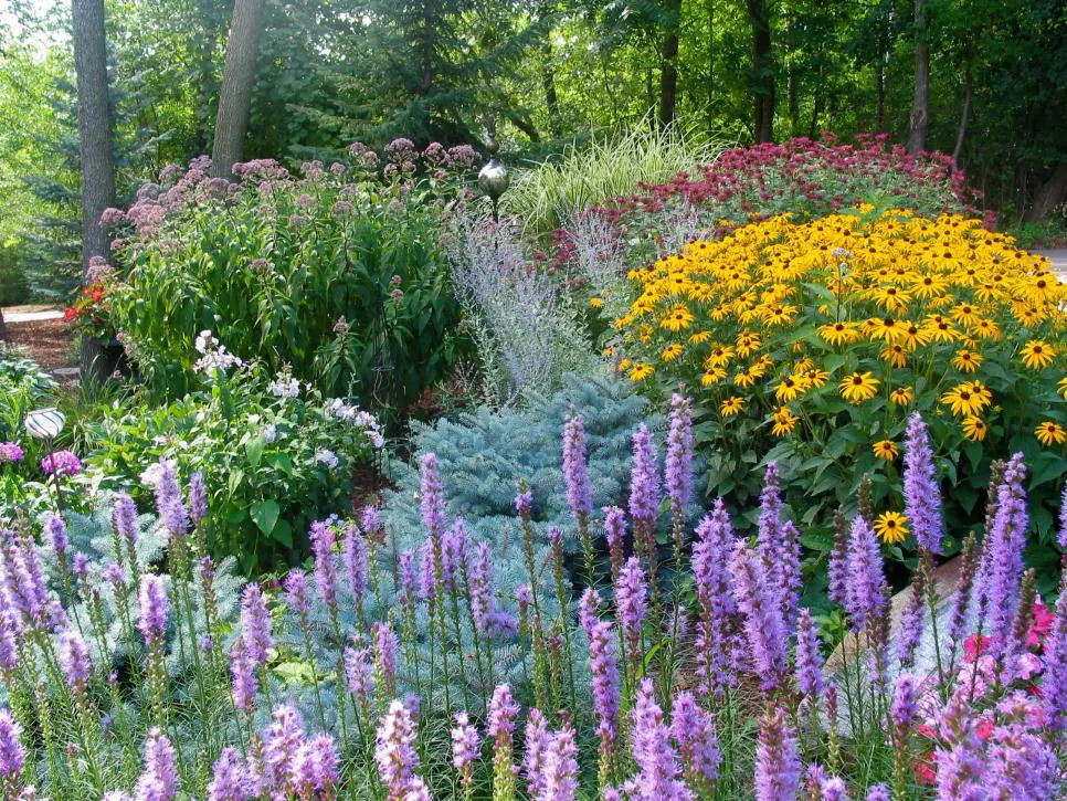 Create an easy-care perennial border on a budget Flower garden design, Inexpensi