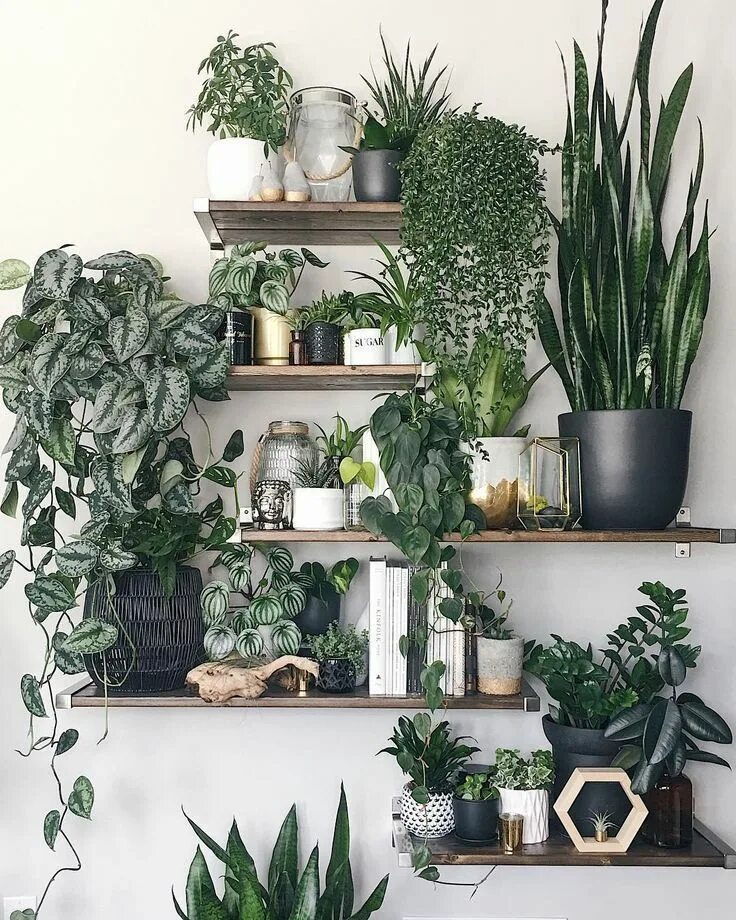 Растения и цветы в интерьере Shelving and display ideas spotted on Instagram offering inspiration for your ho