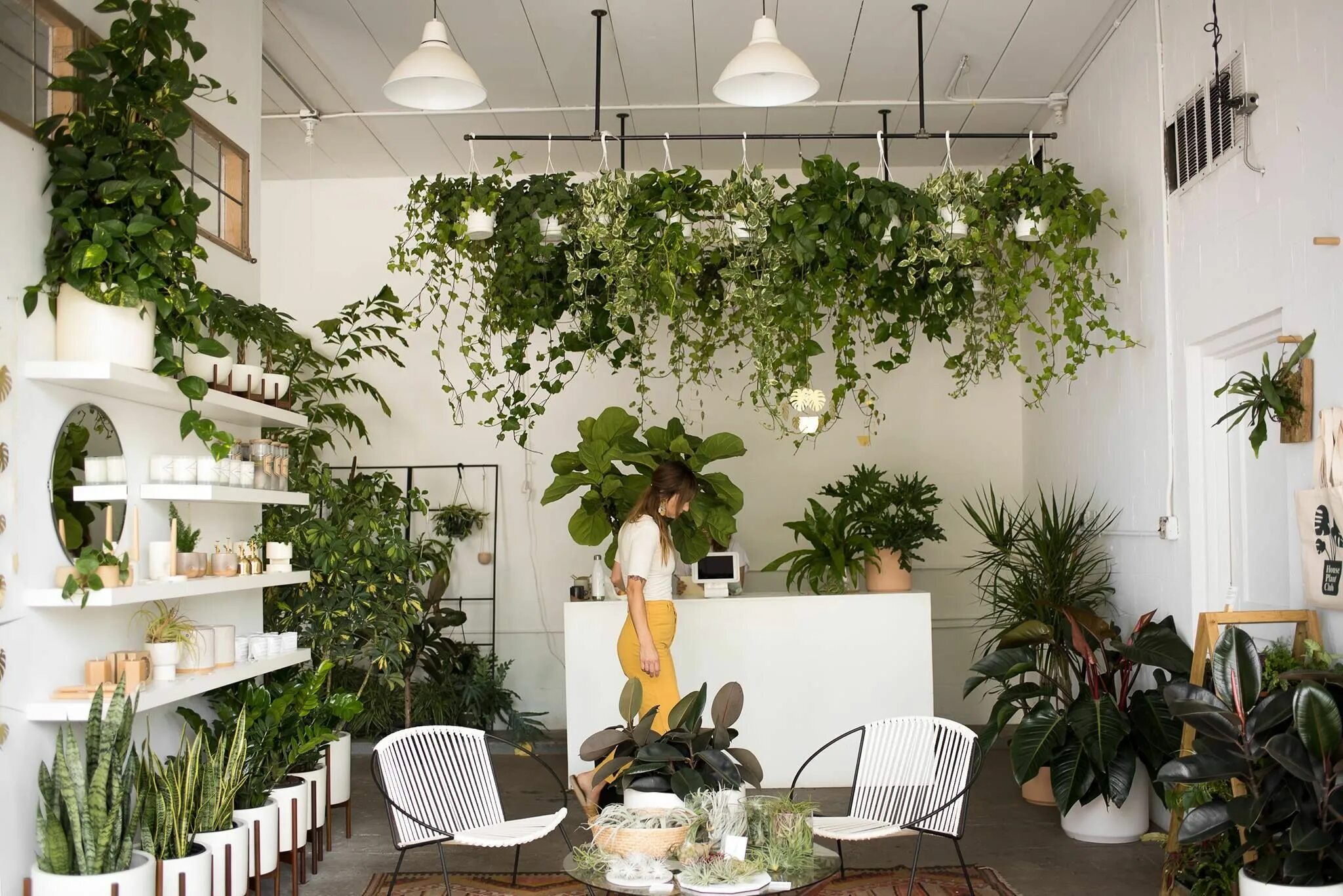 Растения и цветы в интерьере 24 Plant Shops that Will Attract Any Plant Lover - Dalla Vita Plant nursery, Pla