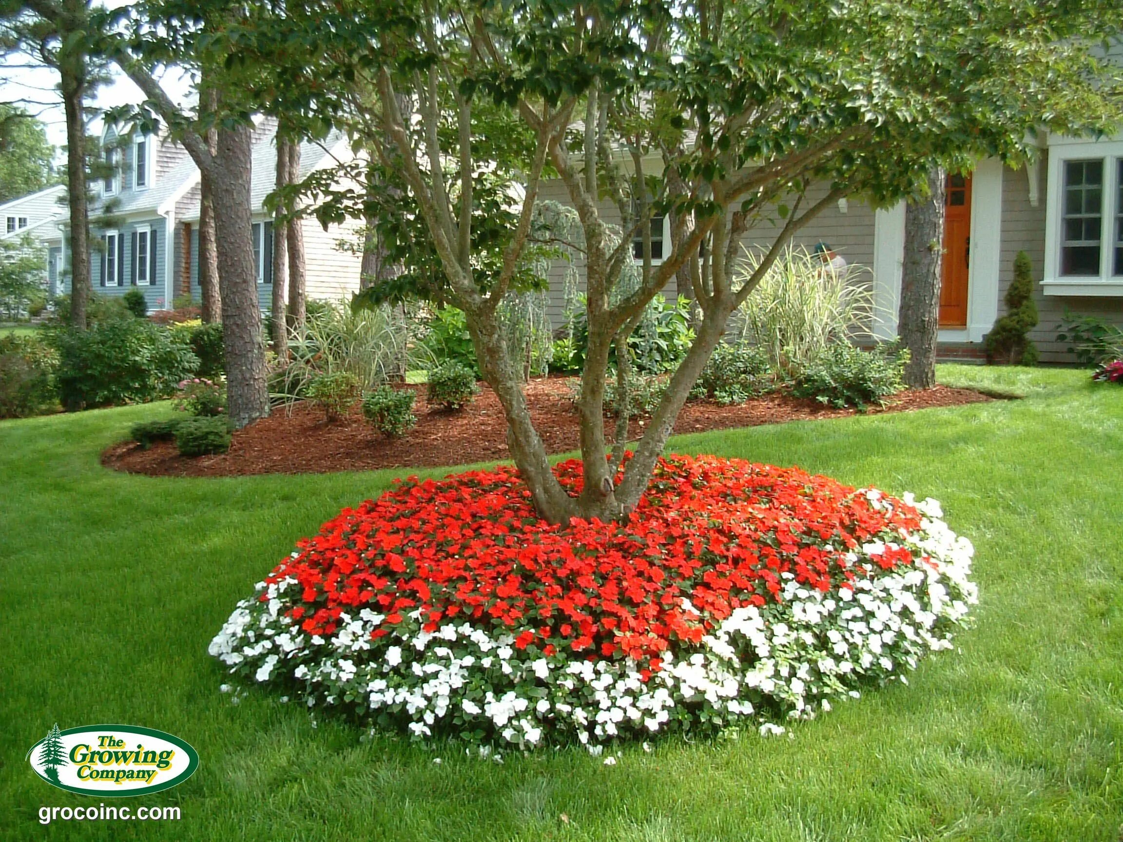 Растения которые высаживают на клумбу фото A bed of annuals constructed around a tree is a lovely landscape design feature.